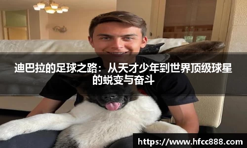 PA视讯平台